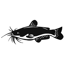 Catfish Fillet